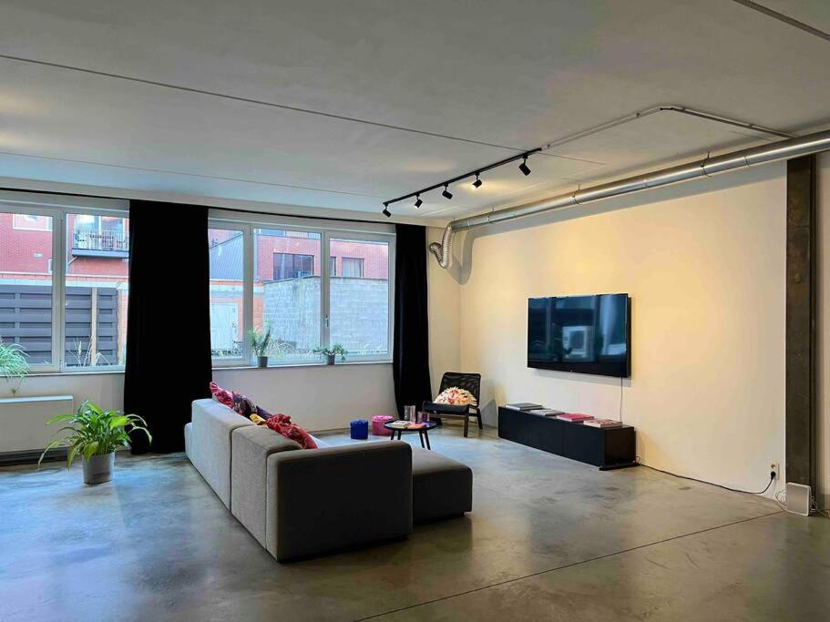 Loft Antwerp - Eilandje, Antverpy