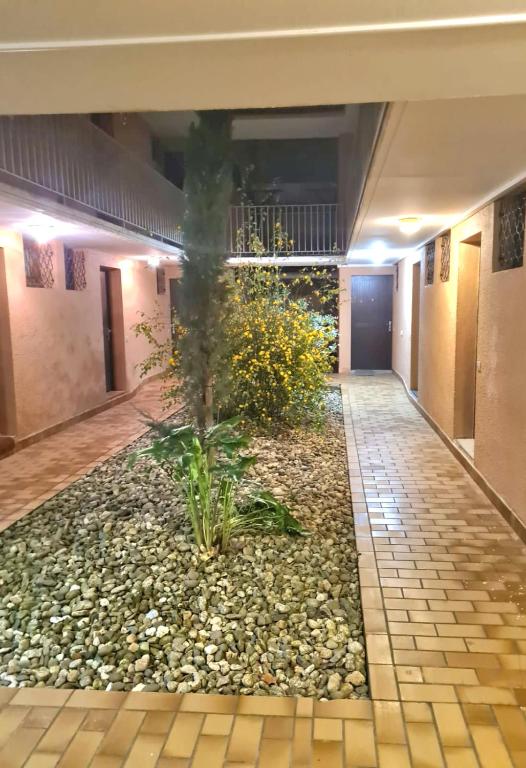 Superbe T2 climatisé, proche plage avec parking privé - 2