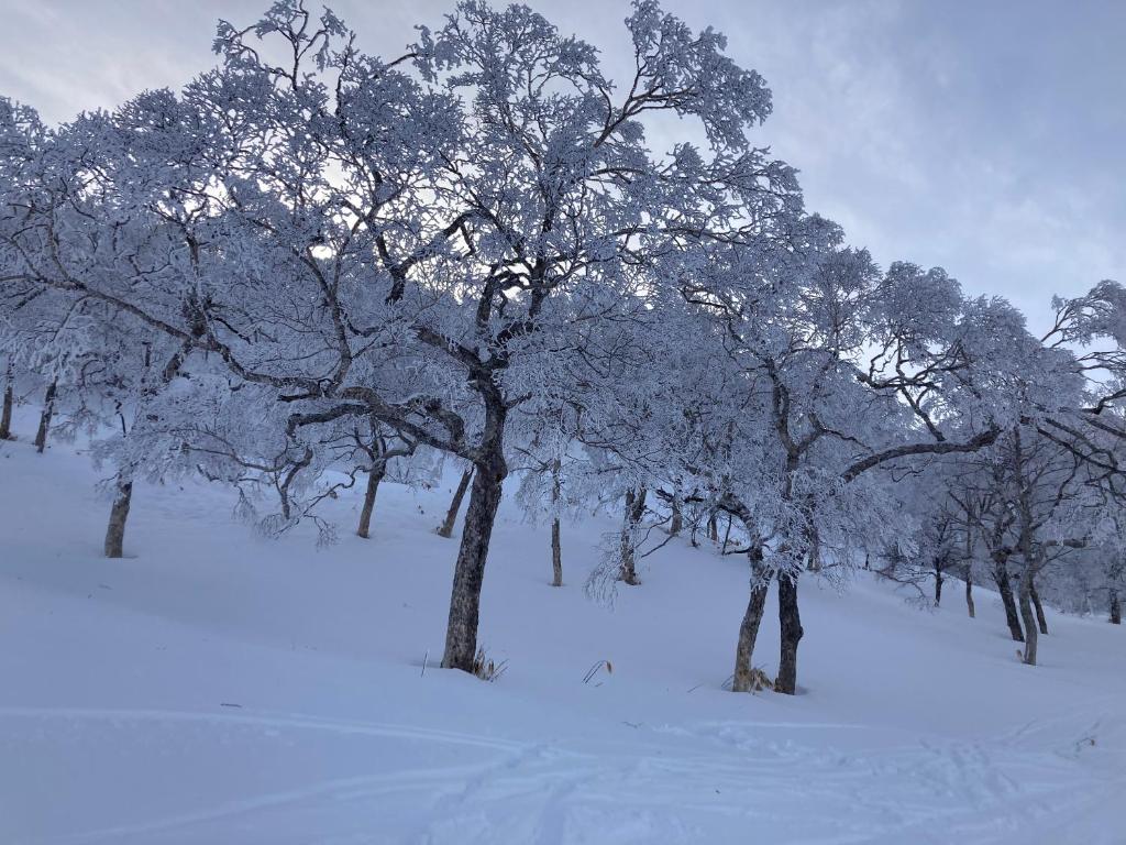 Murmeln 호텔 이미지 1