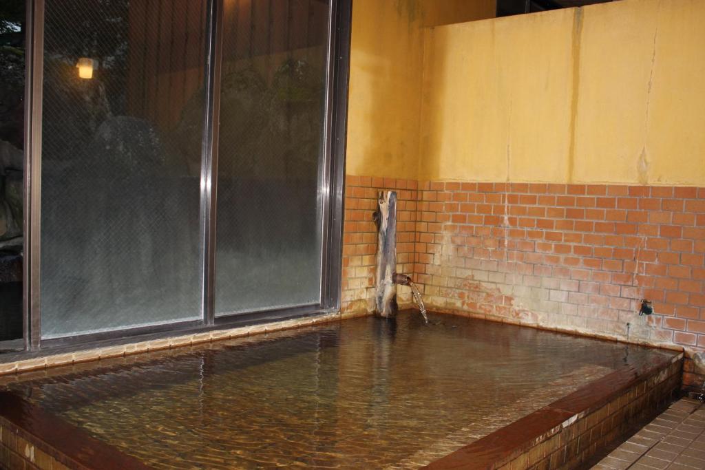 Hot spring bath, Ryokan Tanaka in Takayama