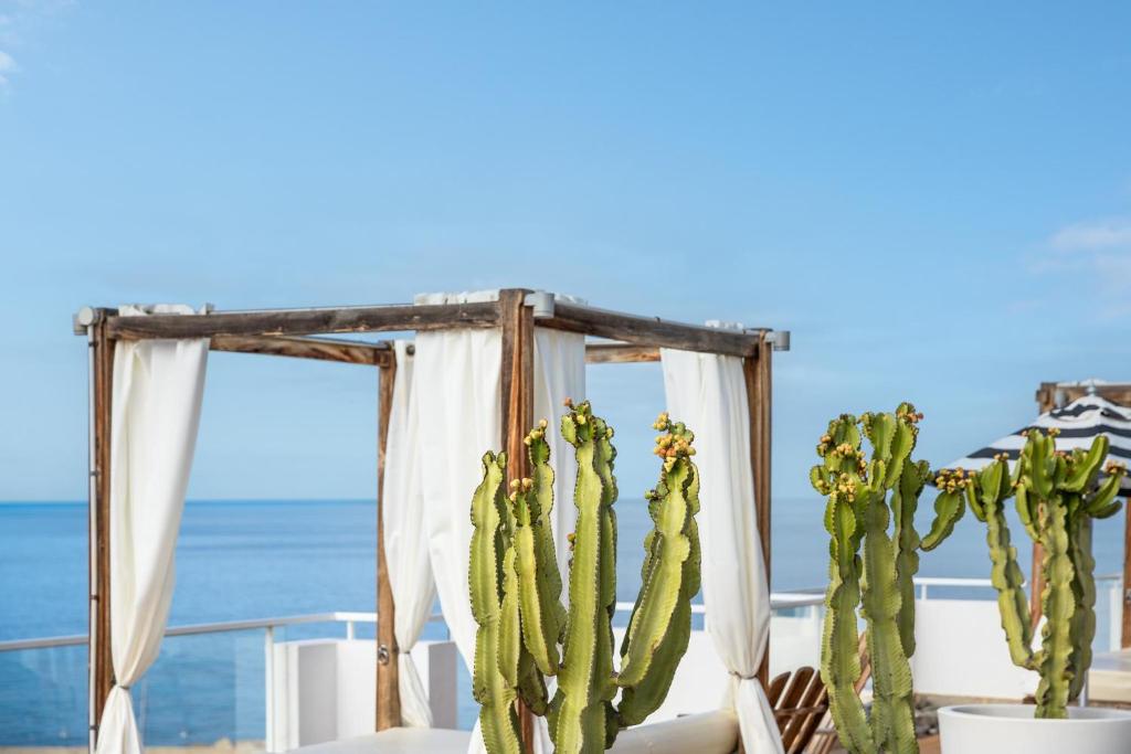 Marina Bayview Gran Canaria - Adults Only - 5