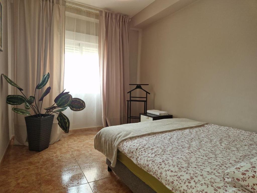 Apartamento Moncada - 2