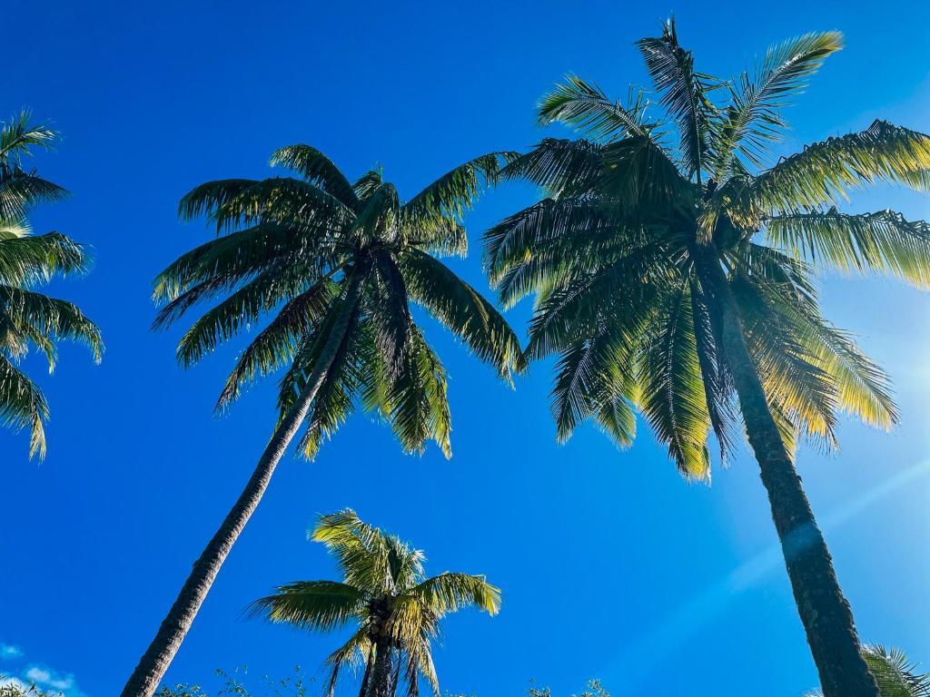 Surrounding environment