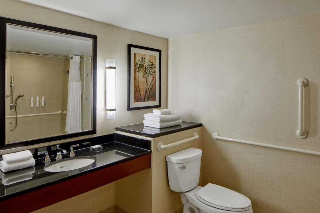Detroit (MI) Detroit Metro Airport Marriott Additional