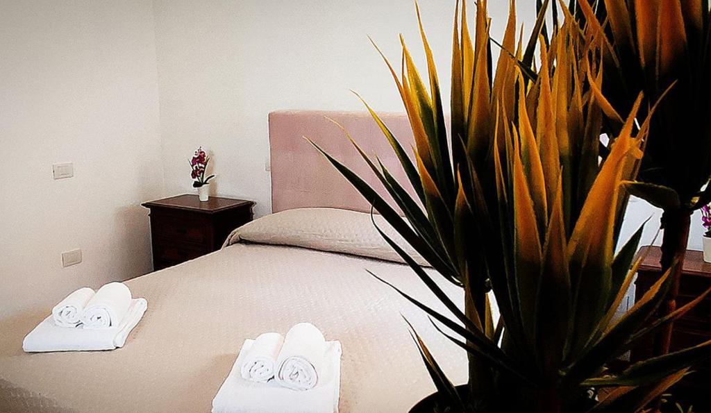 Sieve Flower, Pontassieve