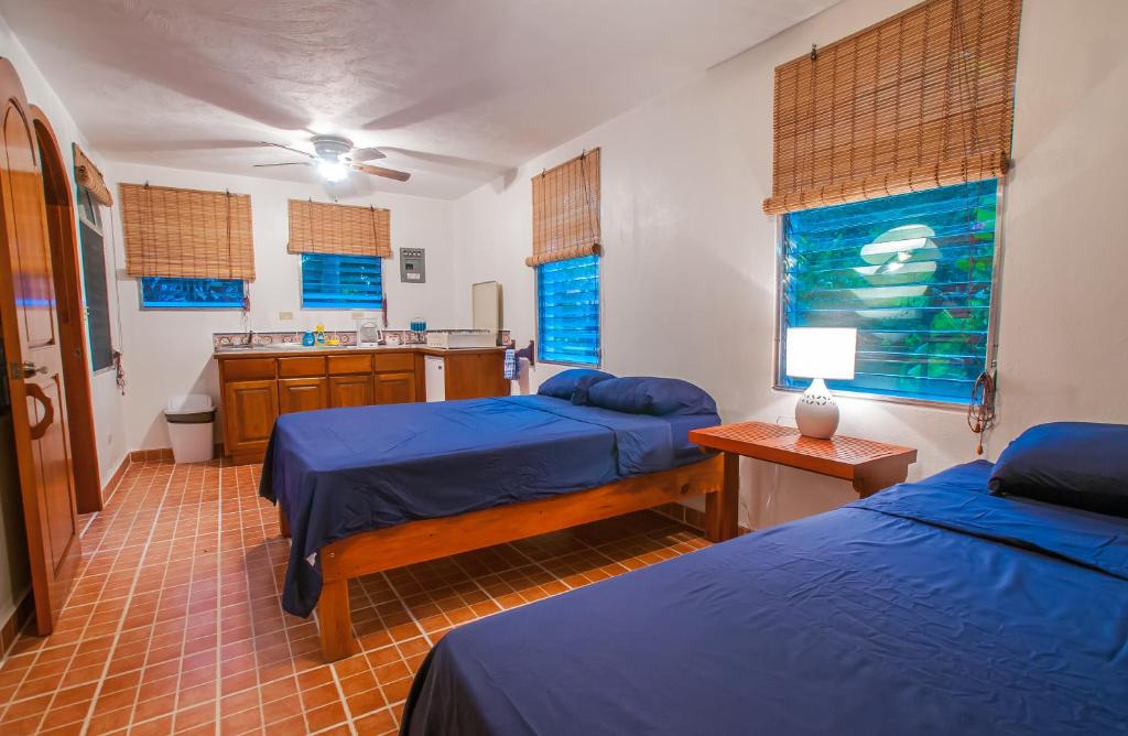 Deluxe Double Studio, Hotel Chillies and Native Sons Diving in Roatan Island
