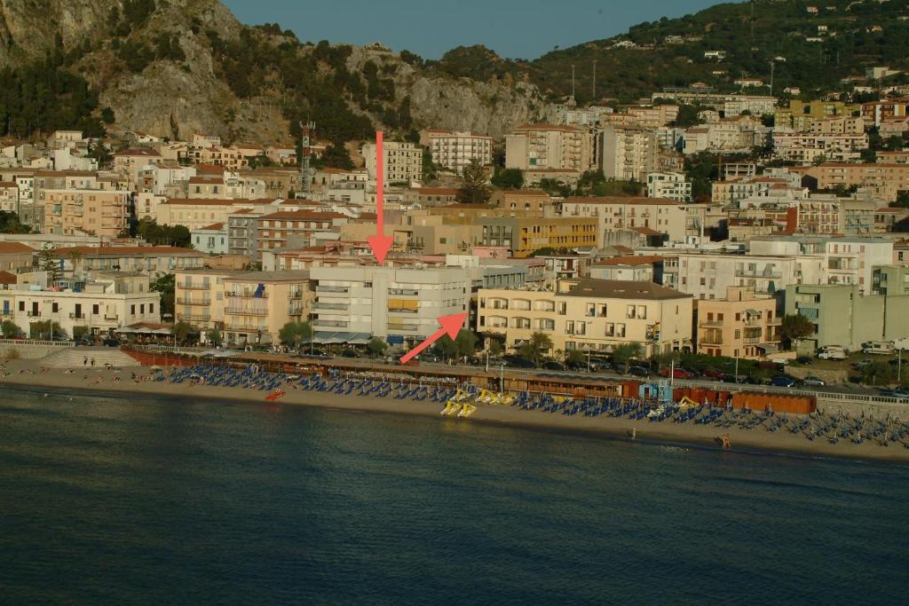 Sea Star - 4