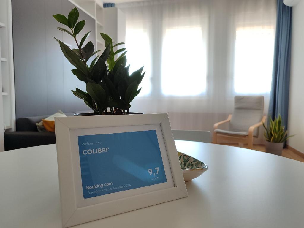 COLIBRI' - boutique apartment - 5