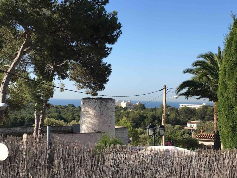 Casa Limón - 5