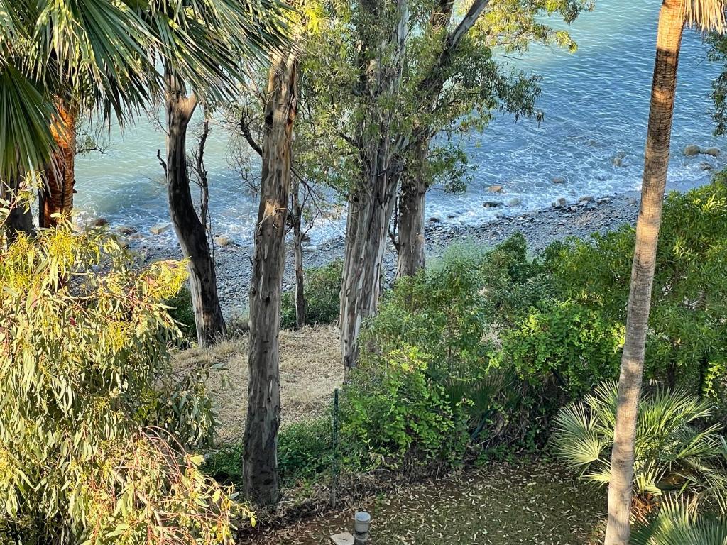 Renovated apt Aranja: with big balcony and sea view - 5