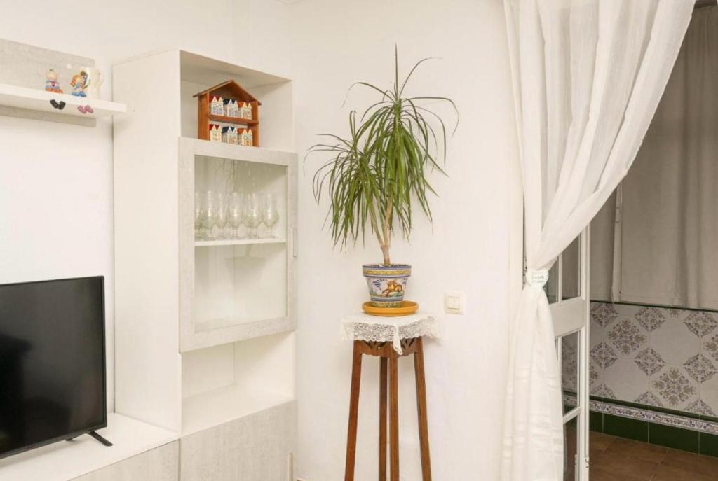 Villa Lola - 4