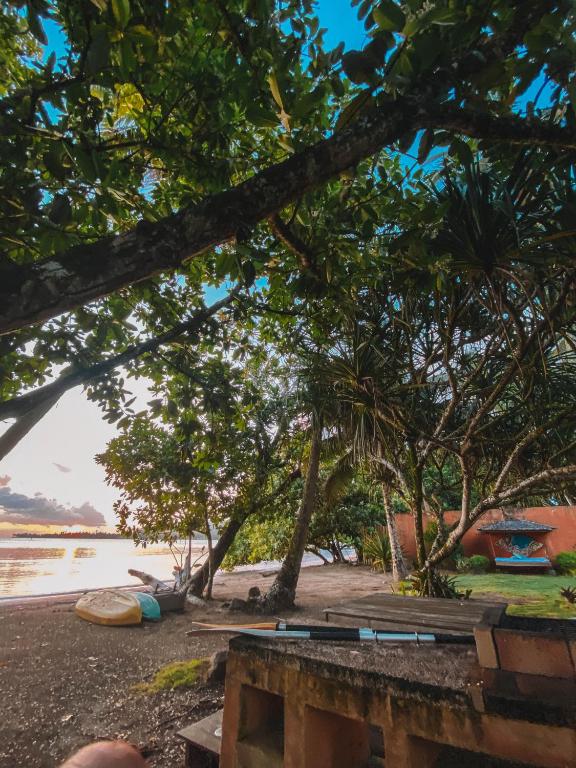 Surrounding environment