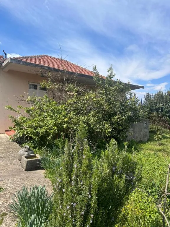 Charming house in Gošići, hotel in Gošići