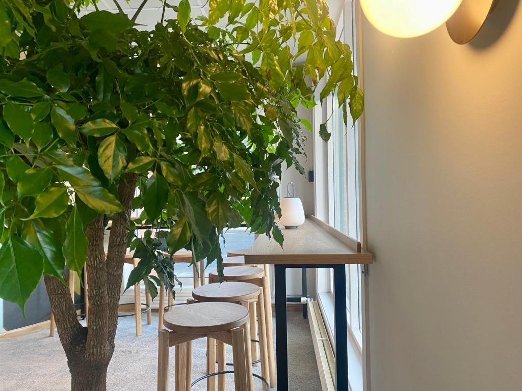 フロント・ロビー