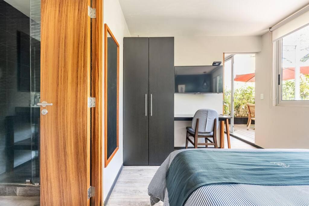 Loft con Terraza (Tabaco) - 4