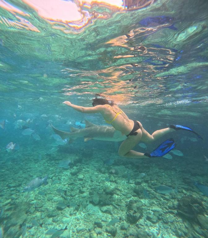 スポーツ/アクティビティ