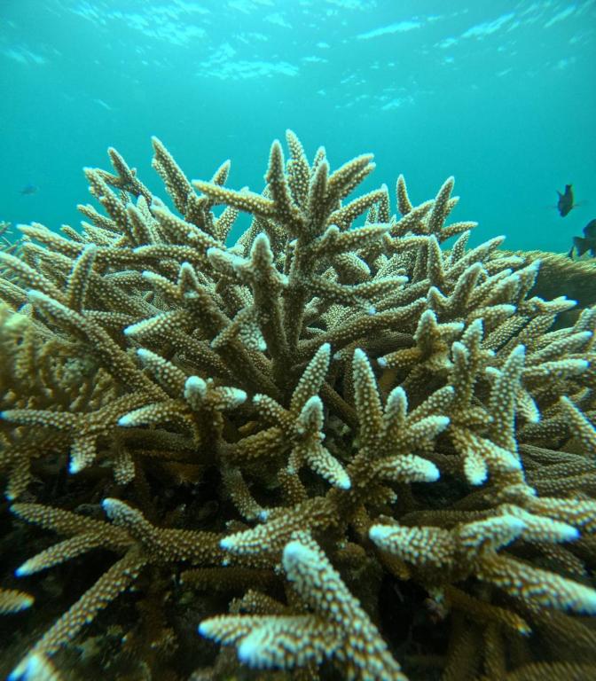 スポーツ/アクティビティ