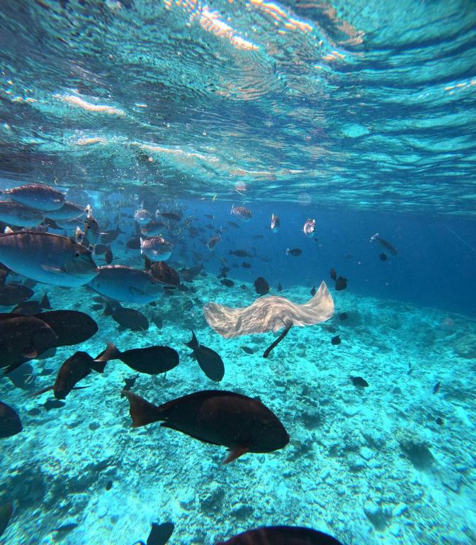 スポーツ/アクティビティ