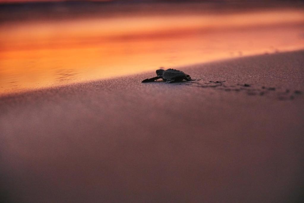 周辺観光スポット