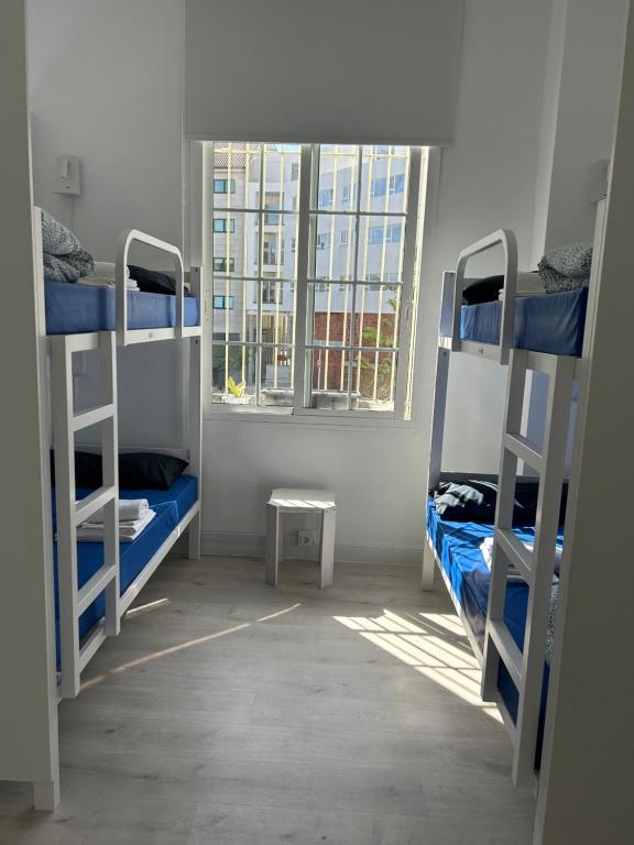Albergue SCQ - 5