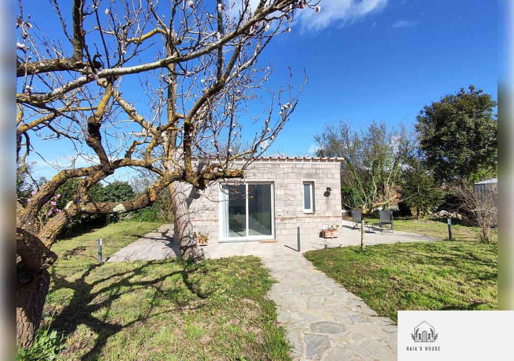 Gaia's House - 4