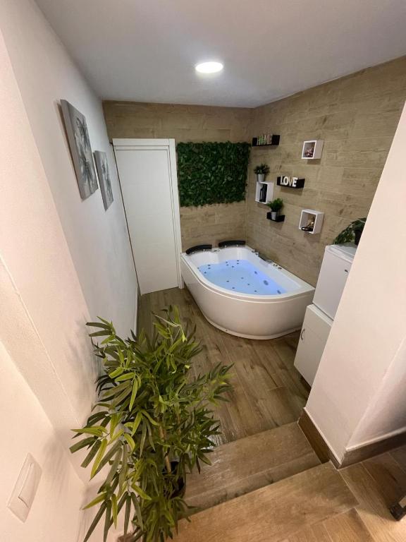 Estudio BF jacuzzi jerez, Jerez de la Frontera