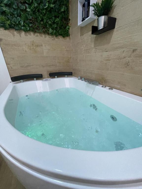 Estudio BF jacuzzi jerez - 2