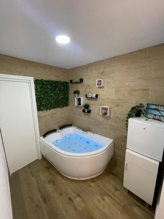 Estudio BF jacuzzi jerez - 4