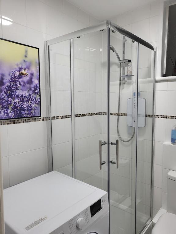 Nice (Clarendon Court Torquay) - photo 2