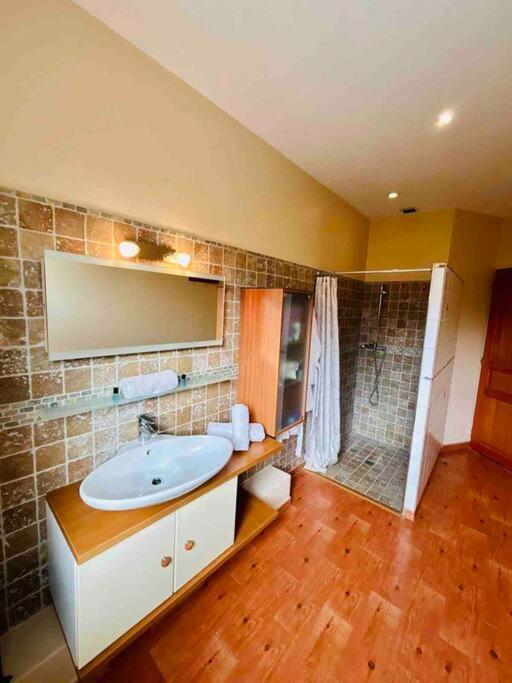 « Côté jardin » Central/Piscine/Jacuzzi/Parking - 4