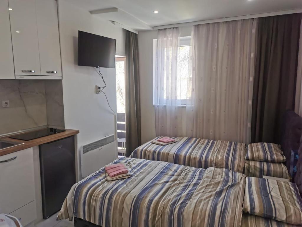 Apartman Aleksandar 2, Ribarska Banja