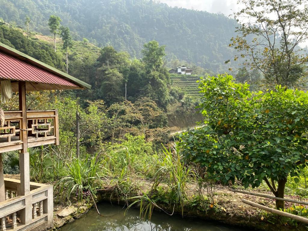 Bikki’s jungle homestay