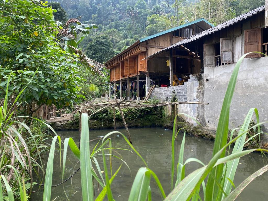 Bikki’s jungle homestay