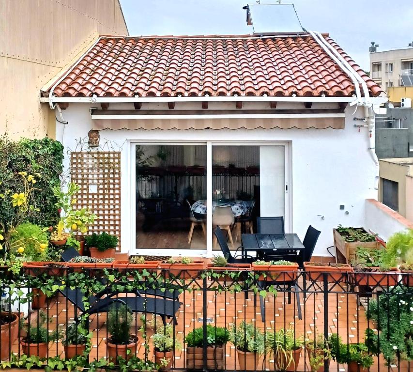 Apartment Blanes beach, Costa Brava - 3