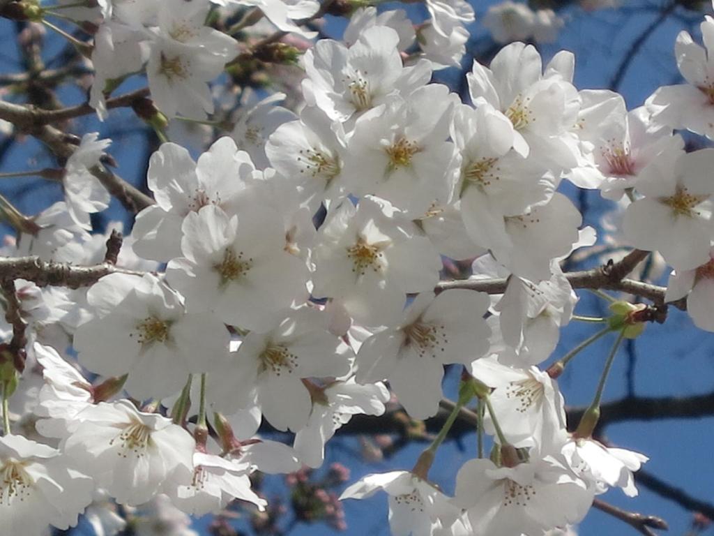 Surrounding environment