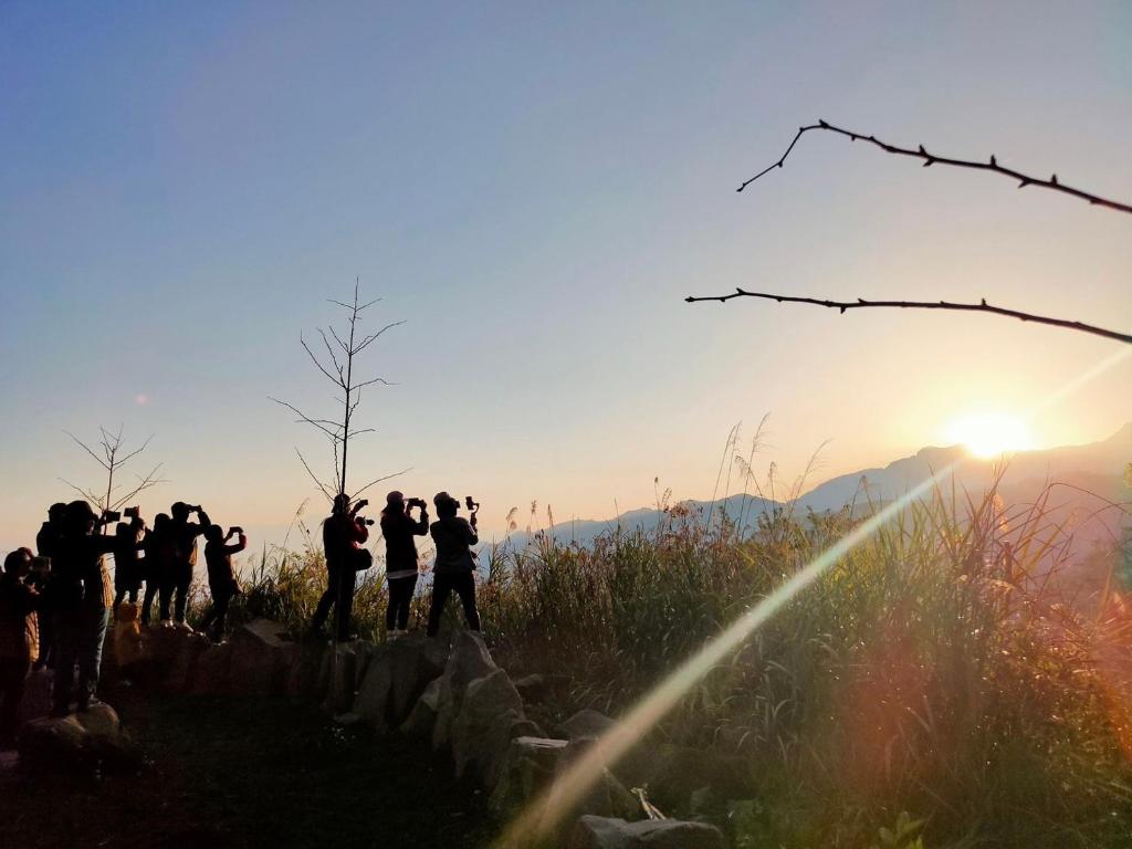 View