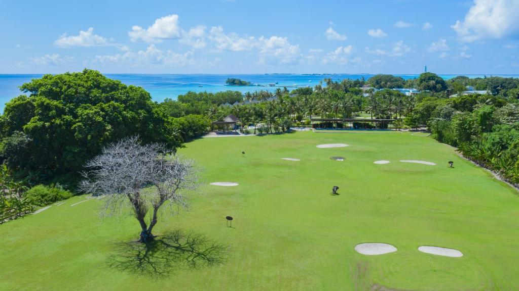 Campo de golf en el alojamiento