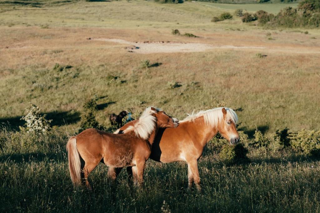 Sports and activities