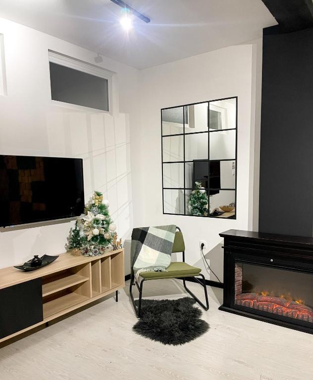 Apartman Ceca Pale - 1