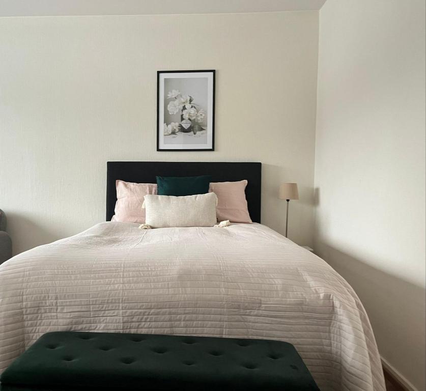 Viihtyisä ja valoisa yksiö keskustan läheisyydessä, Heinola