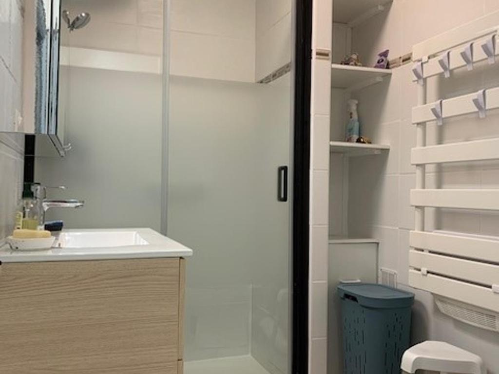 Charmant appartement proche des Thermes à Balaruc-les-Bains, animaux admis, climatisé - FR-1-503-11 - 4