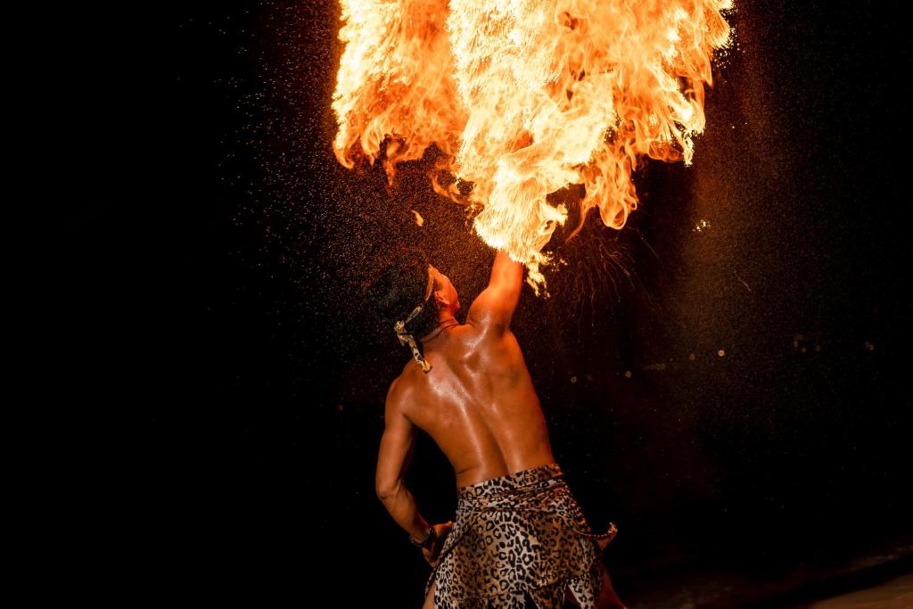 アクティビティ