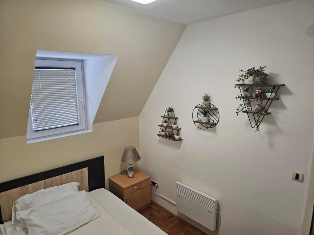 Apartman Čar11 - 5