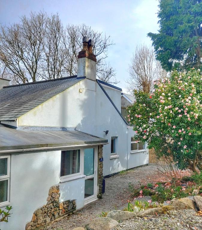 Heart of Kernow Holidays, Bugle