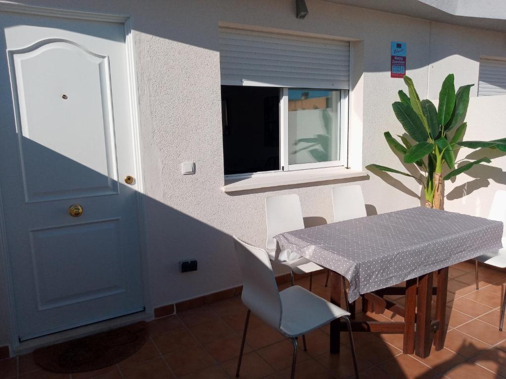 AmaNacer Oliva - 5