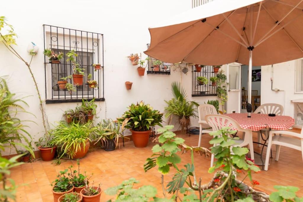 El Patio de la Viña by Gades Gestión - 3