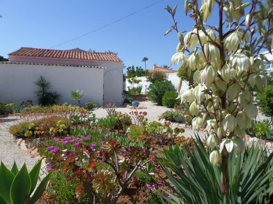 Villa Linda - 2