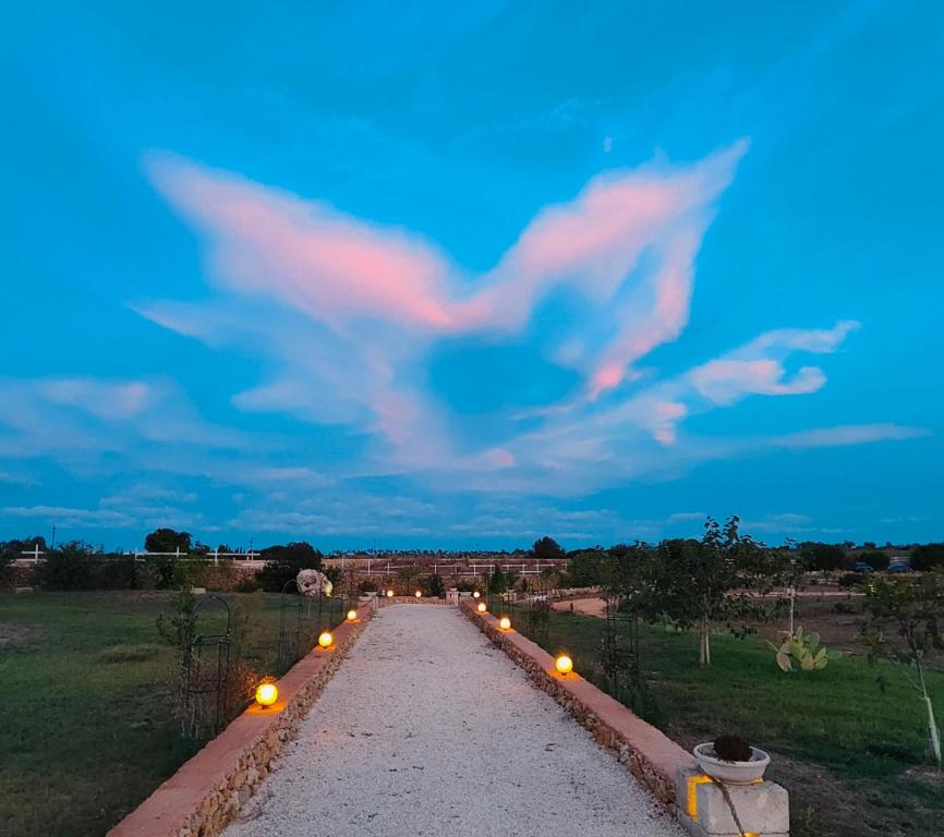 Tenuta Sofia - 5