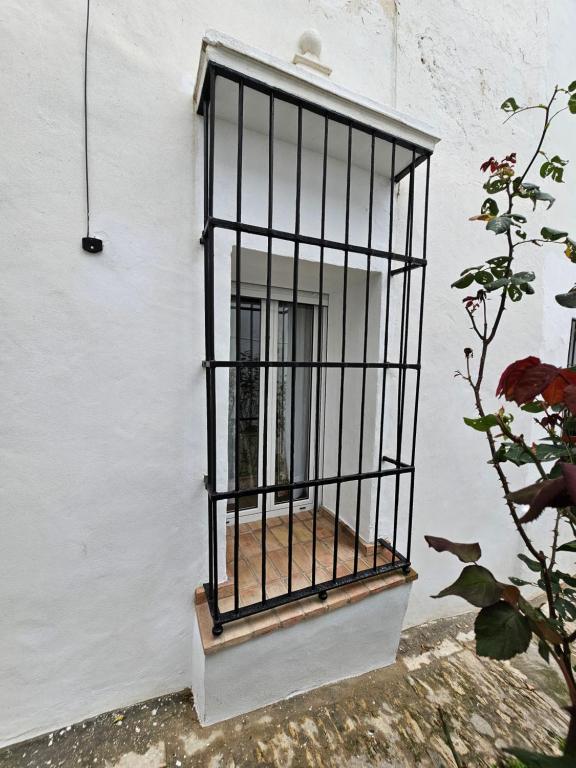 Casa Negrete - 3