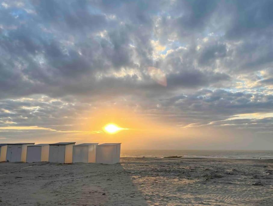 Studio safari - Modern, vernieuwd app met zicht op zee, Nieuwpoort